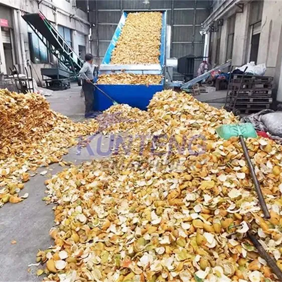 Industrial Food Waste Dryer Sugarcane Bagasse Fruit Pomace Orange Peel Drying Machine EPC photo-4