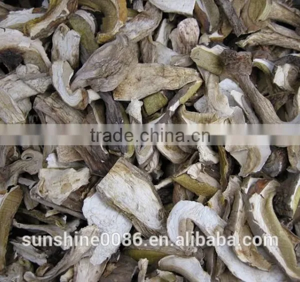 Wild Boletus(porcini) Edulid From Yunnan photo-2