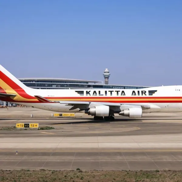 Air Freight Forwarding to Latin America & South Pacific: Door-to-Door, AWB, Export/Import Customs Clearance photo-4