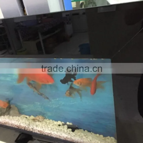 Wall Hanging Aquarium,Wall Monted Fish Tank photo-4