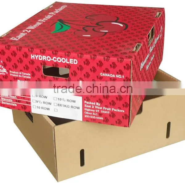 High Quality Fruits Packaging Carton Box photo-5