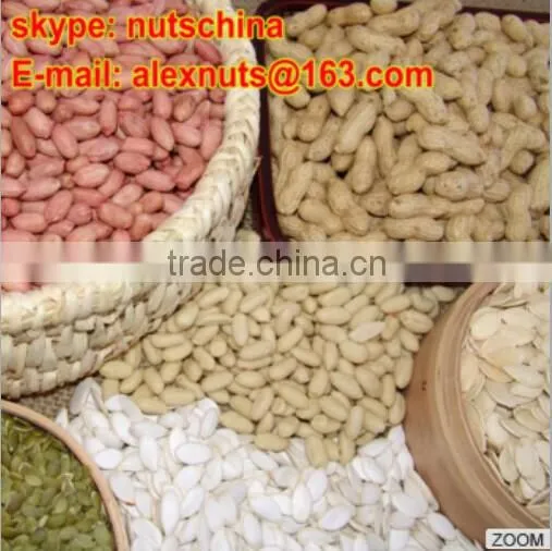 Chinese Blanched Peanut Kernels photo-4