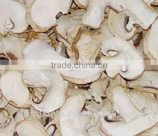 Industrial Microwave Tunnel Mushroom Drying Machine/mushroom Dehydrator photo-5