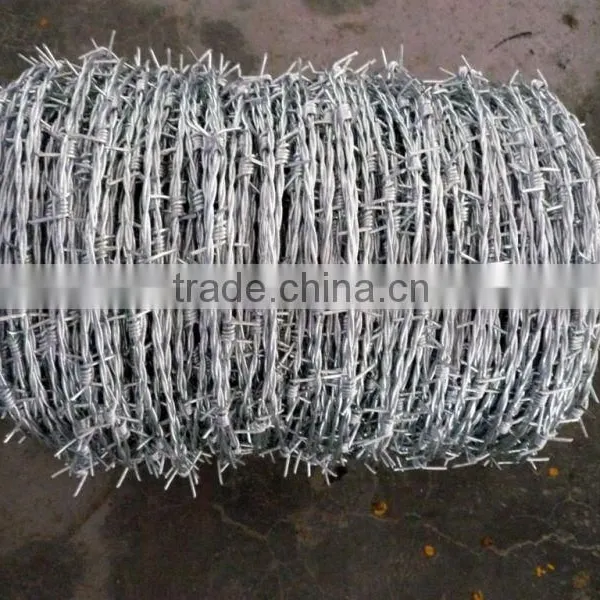 Galvanized and Pvc Barbed Wire Barbed Wire photo-3