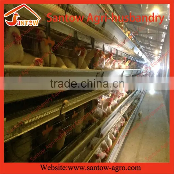 Stable Steel Structure Professional Chicken Egg Layer Cage Egg Layer House Design photo-4