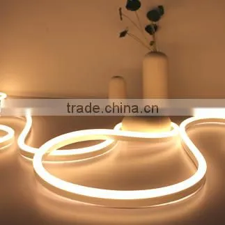 2700K Led Neon 240V 120V 24V 12V photo-5