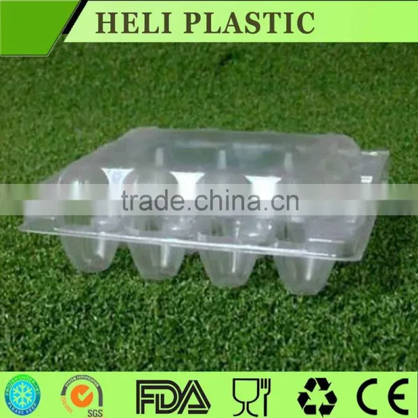 PVC Quail Egg Tray Packaging photo-4