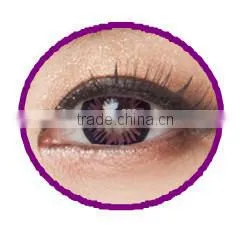 1 Year 16.00 mm Black Contacts Wholesale Colored Contacts photo-2