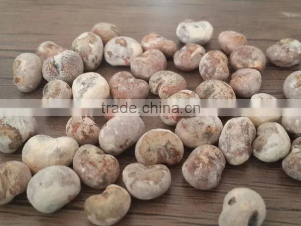 baobab powder processing machine