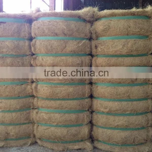 Coconut Fiber 2016 (qq : 2598494113) photo-2