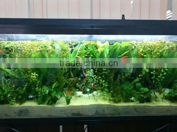 Dropship Wholesaler Freshwater Aquarium Led White Dsuny Led Aquarium Light Programmable Fresh Fish Water Planr photo-5