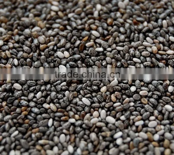 BULK CHIA SEED WHITE AND BLACK
