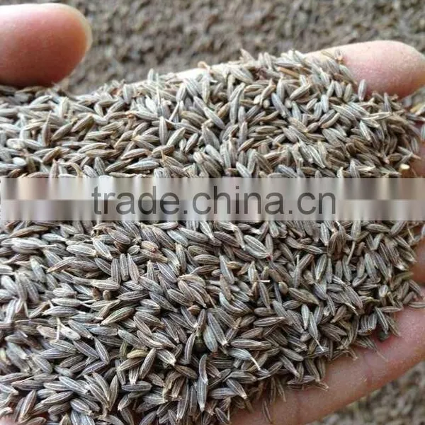 Cumin Seed photo-2