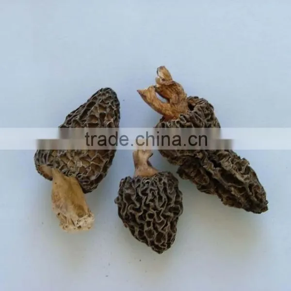 Dryied Morels Dried Morels Mushroom Dried Mochella photo-4