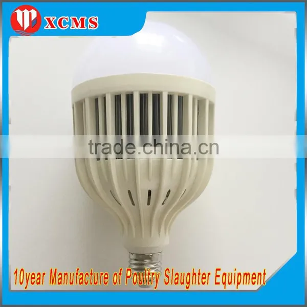 LED Bulb Light