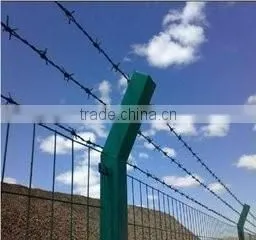 Anping Export 2 Strand Barbed Wire Hot Dipped Galvanized Barb Wire photo-2