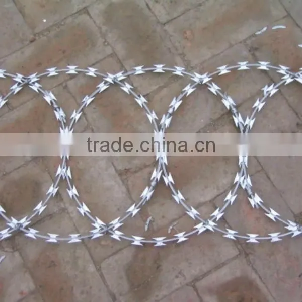 Fake Razor Wire photo-3
