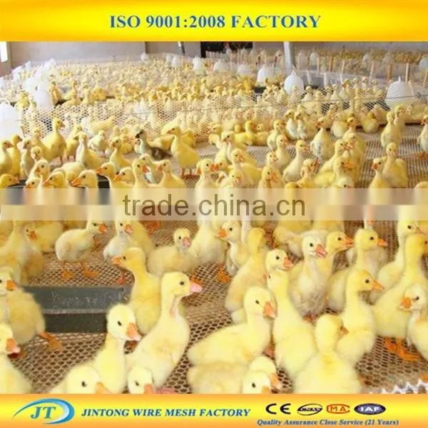 Wholesale Price Plastic Fencing Net for Flowers photo-6