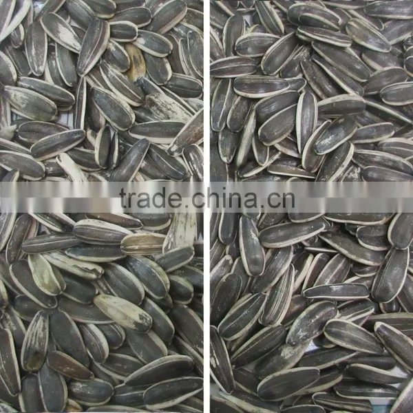 Multifunctional CCD Camera Sunflower Seed Color Separator photo-5