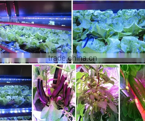 MarsHydro Waterproof ETL Certificated Led 60 Cm/120 cm Grow Bar photo-3