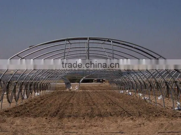 Vegetable Tunnel Greenhouses For Sale