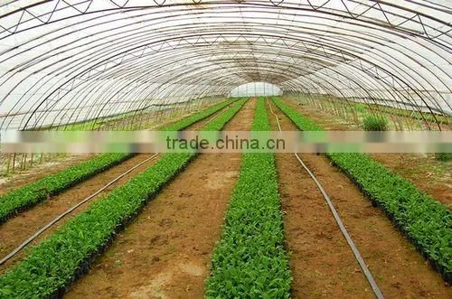 China Supplier Tomato Plastic High Tunnel Greenhouse photo-2
