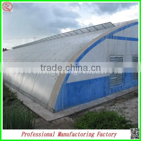 Plastic Film Agricultural Green House for Strawberry With Arched Type photo-6