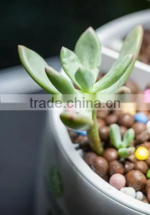 Intelligent Plant Growth Machine Flower Growing Pots photo-5