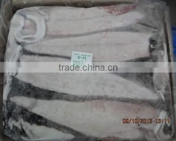 Squid Whole photo-3
