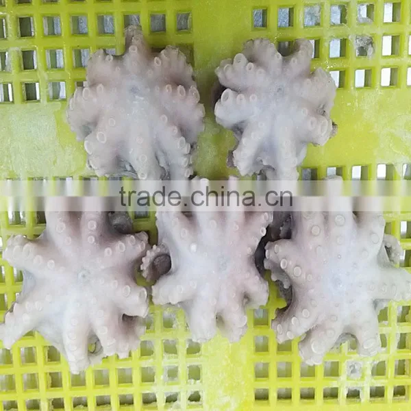 Fresh Frozen Cleaned Baby Octopus Flower Type photo-2