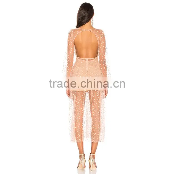 Raw Hem Embroidered Tulle Appliqued Gauze Backless Long Dress photo-4