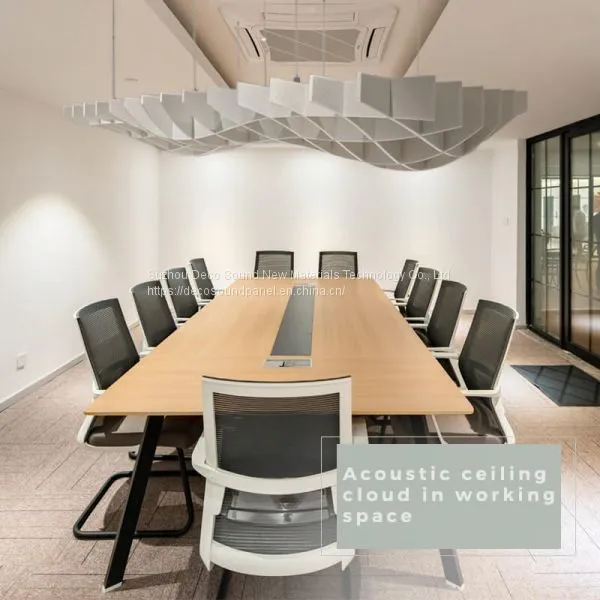 Acoustic Ceiling Cloud in Working Space photo-3