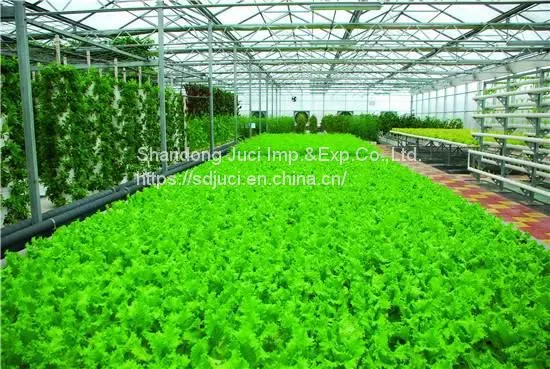 Organic Water Soluble Fertilizer Corn Steep Liquor Powder for Liquid Organic Fertilizer Corn Steep Powder photo-5