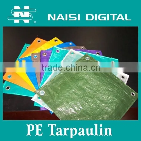 100mic China PE Tarpaulin Roll Factory photo-5