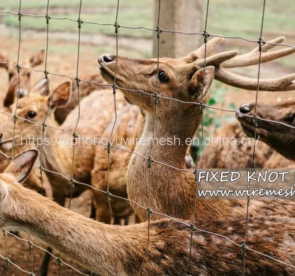Farm Fence Field Fence Goat Cattle Deer Stock Fencing Grassland Hinge Joint Fixed Knot Fence High Tensile Strenght photo-2
