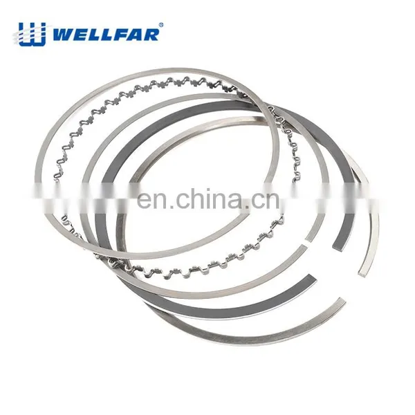 Wellfar 206 307 308 405 Engine Part Piston Ring 75mm 76.5mm for PEUGEOT Engine photo-4