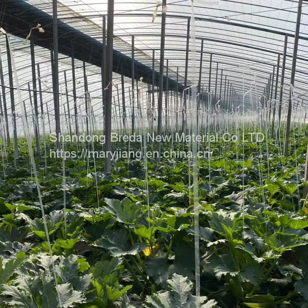 Greenhouse film