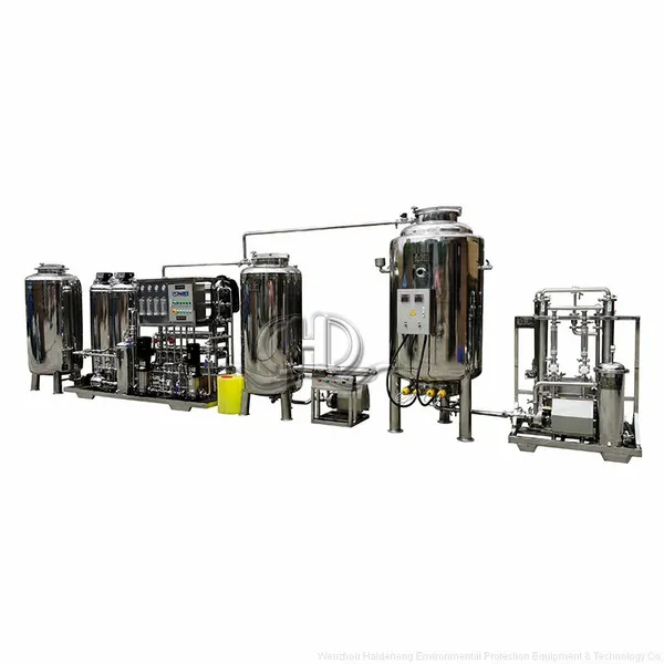 Customized Injection Water Automatic Two-stage Reverse Osmosis Water Purification Equipment Ro Water System With Sterile Heater photo-2