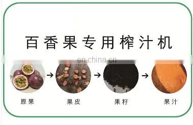 Stainless Steel Industry: Commercial Passion Fruit Tomato Juicer, Seed Extractor, Seed Meat Separator photo-4