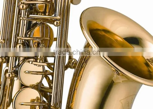 Intermediate Grade Gold Lacquer Alto Saxophone photo-4