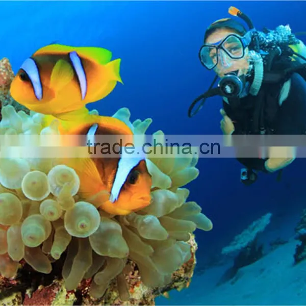 Scuba Diving Snorkel Swimming Snorkel Swimming Mask and Snorkel photo-5