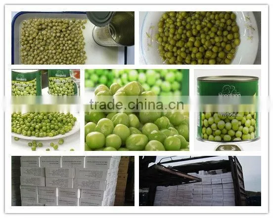 Canned Green Peas of Good Quality
