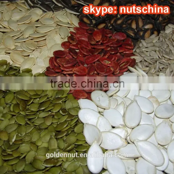 Pumpkin Seed Kernels photo-6