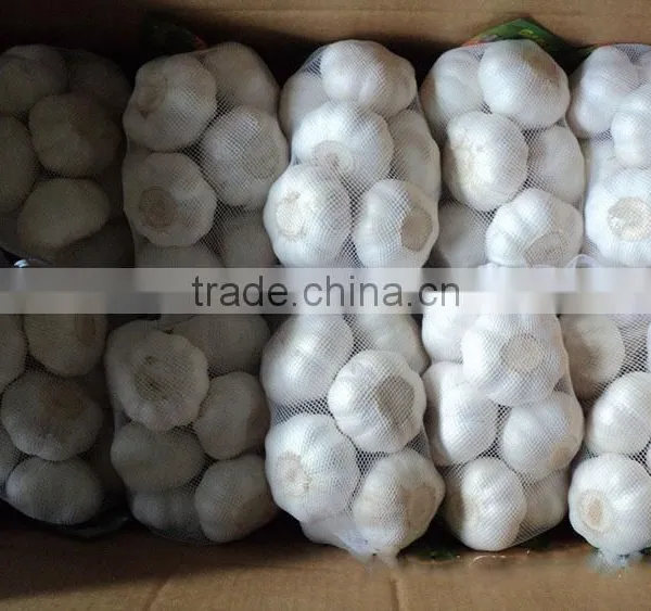 2016 Pure White Garlic 3P/4P/5P/ in 10kg Carton photo-5