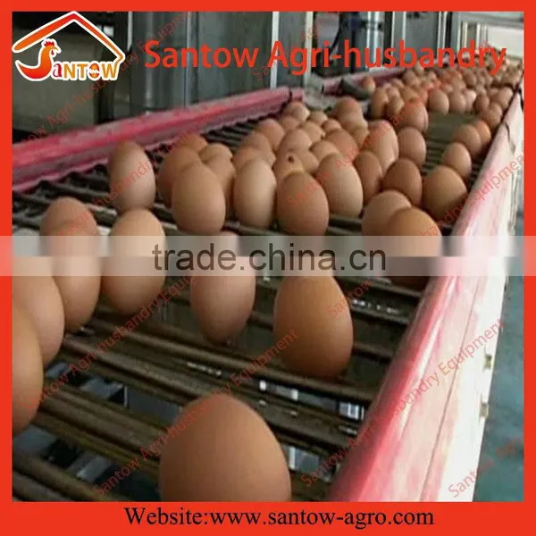 Stable Steel Structure Professional Chicken Egg Layer Cage Broiler Farm Design photo-2