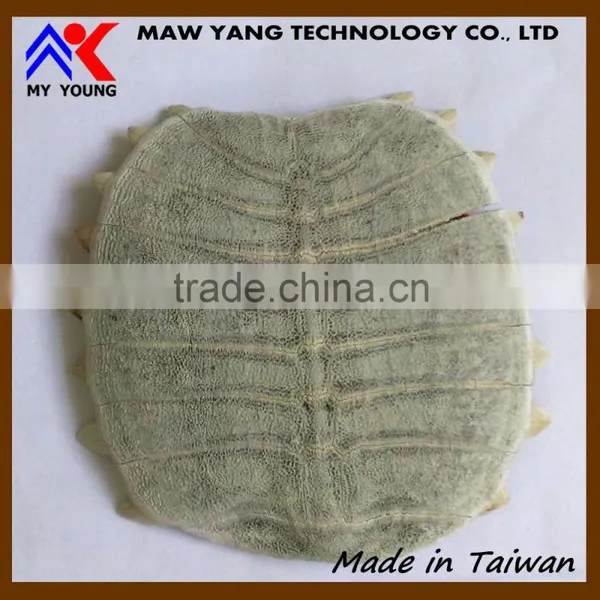 Natural Premium kg ODM OEM Trionyx Shell Personal Care Powder