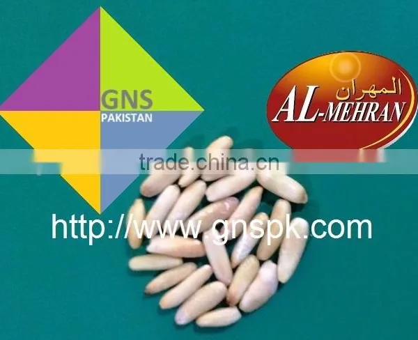 Fine Quality Pine Nuts Kernels - Pakistan Origin