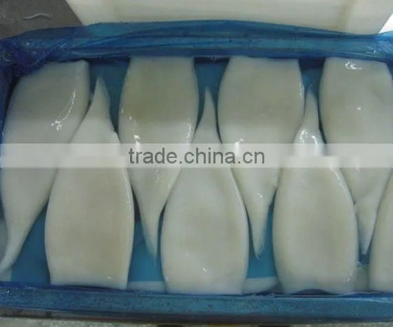 Frozen Illex Squid Tube