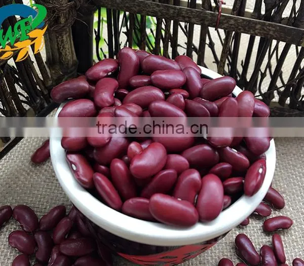 20015 New Crop British Type Dark Red Kidney Beans photo-4