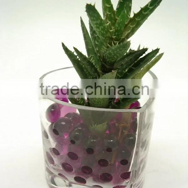 Garden Decoration Magic Water Beads for Lucky Bamboo photo-3
